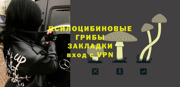 стаф Алексеевка