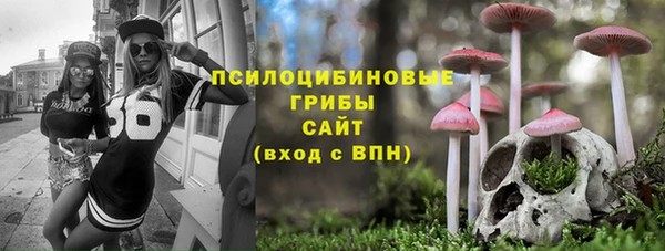 стаф Алексеевка