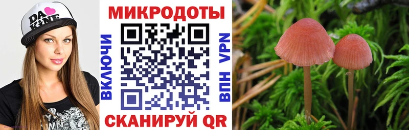 Псилоцибиновые грибы Psilocybe  дарнет шоп  Порхов 